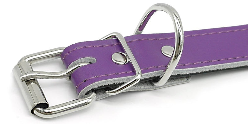 [Australia] - Beirui Dog Collar with Rhinestones - Soft Bling Genuine Padded Leather Made Sparkly Crystal Diamonds Studded -Perfect for Pet Show & Daily Walking 14-18"(20") Purple 