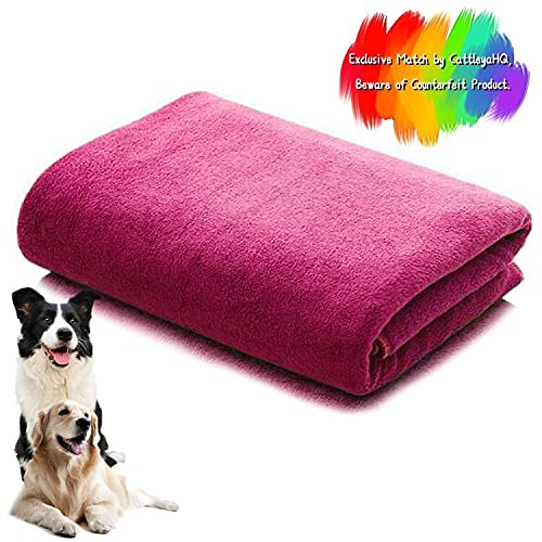 CattleyaHQ 160 * 60cm 1 Piece Dog Towel,Soft Absorbent Microfiber Quick Dry Towels,Large Drying Towels For Dog,Cat,Pet (Wine red) - PawsPlanet Australia
