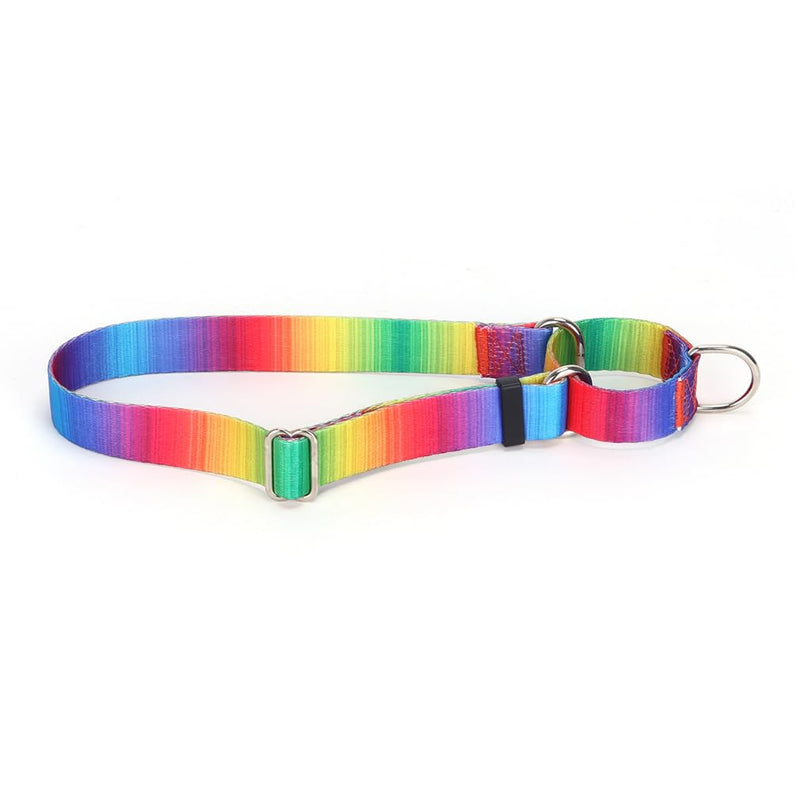 Martingale Dog Collars - Reflective No Pull Nylon Puppy Pet Dog Collar with Quick Release Buckle Training Adjustable for Small Medium Large Breed Girl Boys,Multi Color M Multi Color Medium 15.7-21"(40-54cm) - PawsPlanet Australia