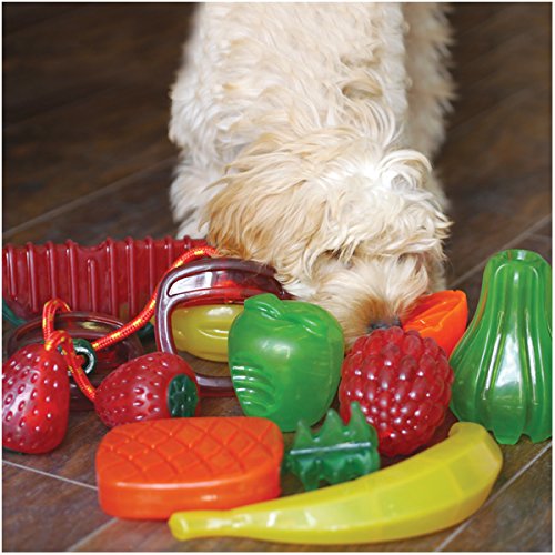 Rosewood Apple BioSafe Dog Toy - PawsPlanet Australia