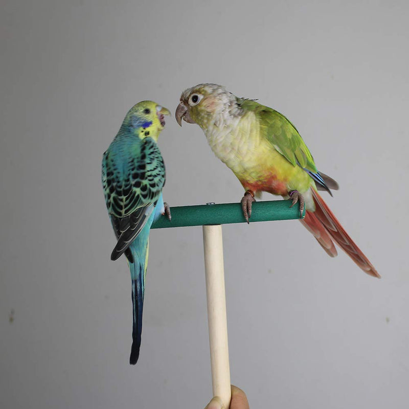 [Australia] - Bird Perch，Parrot Wooden Stand for Cage，Birdcage Play Stand Rack，Cage Toy for Beak Paw Grinding Stick，Natural Beech Branch，Travel Portable Pet Bird Carrier Stand for Parakeets Cockatiel Conure Budgie L: 30*30cm/11.8*11.8 In 
