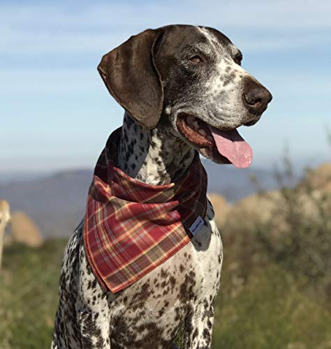 [Australia] - Willowear Plaid Puppy Dog Bandanas Designer Style Accessories for Everyday Adventures Xlarge Sienna 