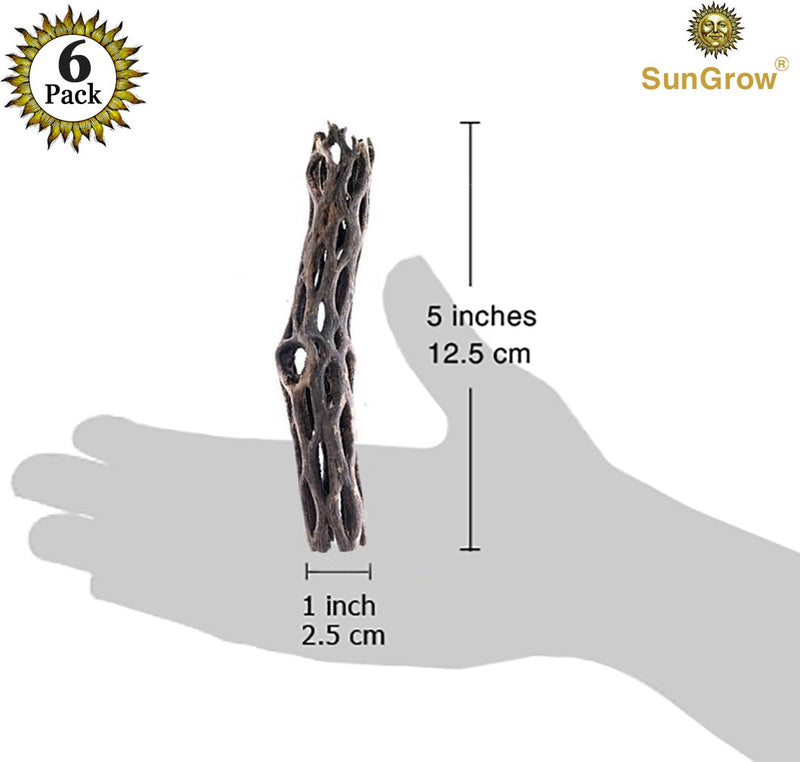 SunGrow Cholla Wood, 5 Inches Long, Aquarium Decoration and Chew Toys for Small Pets, Artistic Home-Decor, Long Lasting Driftwood, 6 Pieces - PawsPlanet Australia