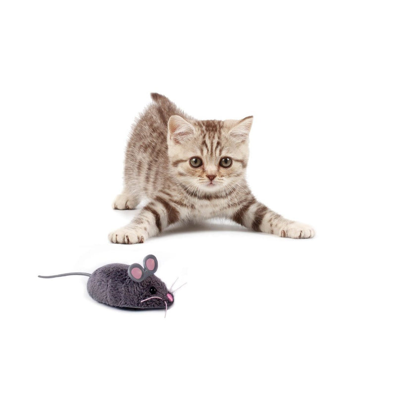 Hexbug Cat Toy mouse - PawsPlanet Australia