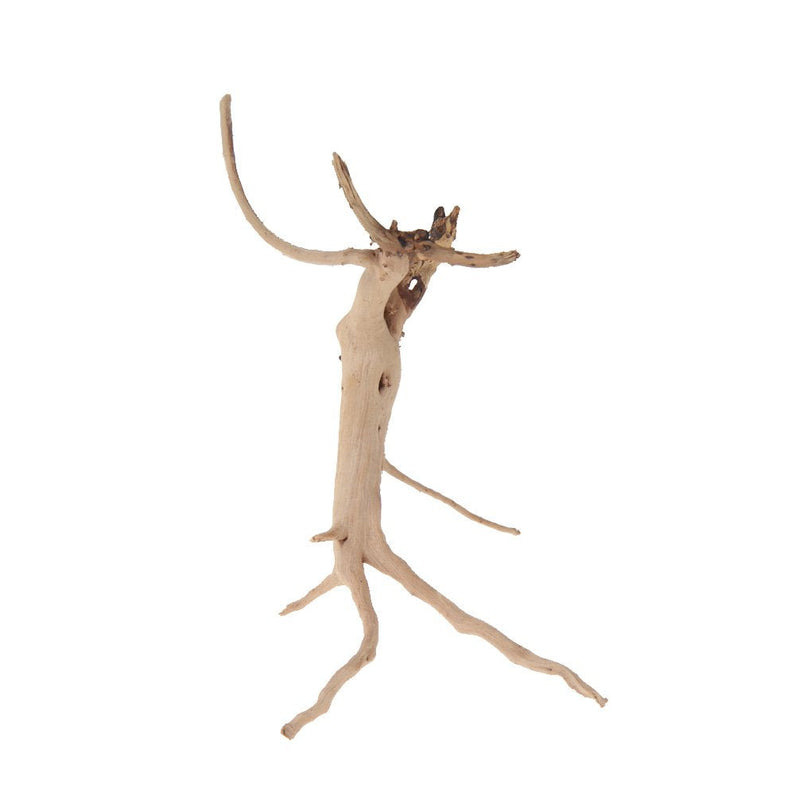 emours Natural Driftwood Vine Branches Reptiles Aquarium Decoration Assorted Sizes,Small,4 Pieces - PawsPlanet Australia