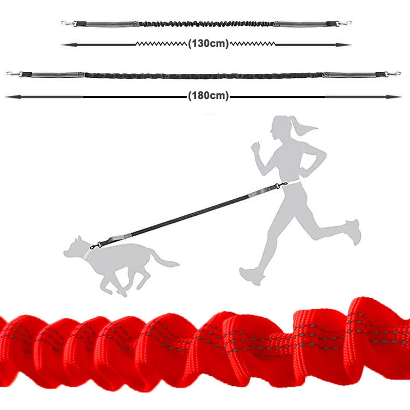 Aiqeer Orange Hands-Free Dog Lead, Adjustable Waist Belt and Stretchy Bungee Lead, Jogging Dog Lead with Reflective Stitching (Grey Handle) - PawsPlanet Australia