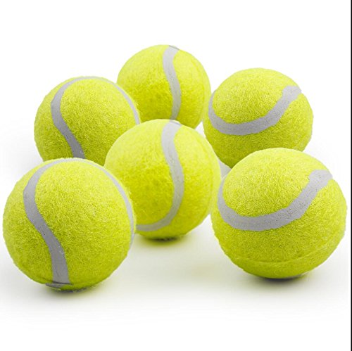 ALL FOR PAWS Tennis Balls for Dogs,6pcs Super Bouncy Dog Tennis Balls for Automatic Dog Ball Launcher Dog Toys for Exercise & Training 2" - PawsPlanet Australia