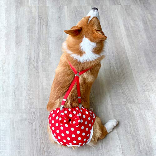 BT Bear Reusable Dog Nappies, Female Dog Nappies Pants Materials Durable Machine Washable Simple Solution For Pet Incontinence & Long Travels M: for waist 38cm～47cm Red Point - PawsPlanet Australia