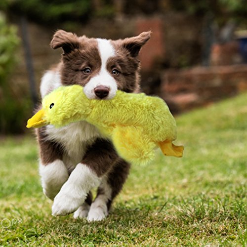 [Australia] - Mihachi Plush Squeaky Dog Toys-Pet Toy Duck,for Medium and Large Dogs,14" Long 1 Pack Duck:14" Long 