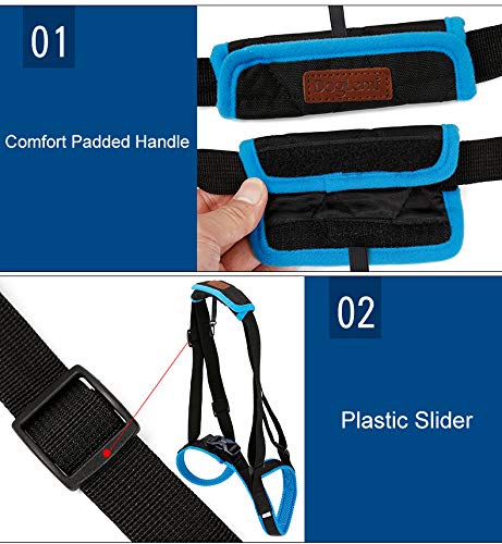 BePetMia Dog Lift Support Harness - Dog Support Harness for Back Legs, Help Lift the Back Legs, Dog Rear Harness Support for Elderly, injured, Sick and Disabled Dogs (M: 13.8-17.7 inch) M: 13.8-17.7 inch - PawsPlanet Australia