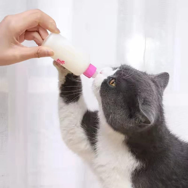 LAIYOHO Pet Feeding Bottle Kit with 4 Replacement Nipples and 1Pcs Nipple Brush Puppy Feeding Bottle for Kitten Puppy Small Pet Feeding Tool(60ml) - PawsPlanet Australia