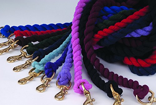HORSE LEAD ROPE IN PURPLE BY RHINEGOLD WITH BRASS TRIGGER HOOK - PawsPlanet Australia