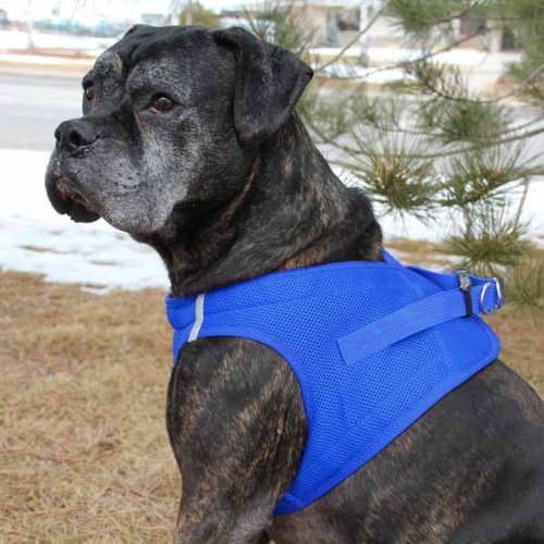 [Australia] - CHOKE FREE REFLECTIVE STEP IN ULTRA HARNESS - BLUE - ALL SIZES - AMERICAN RIVER (Medium) by Doggie Design 