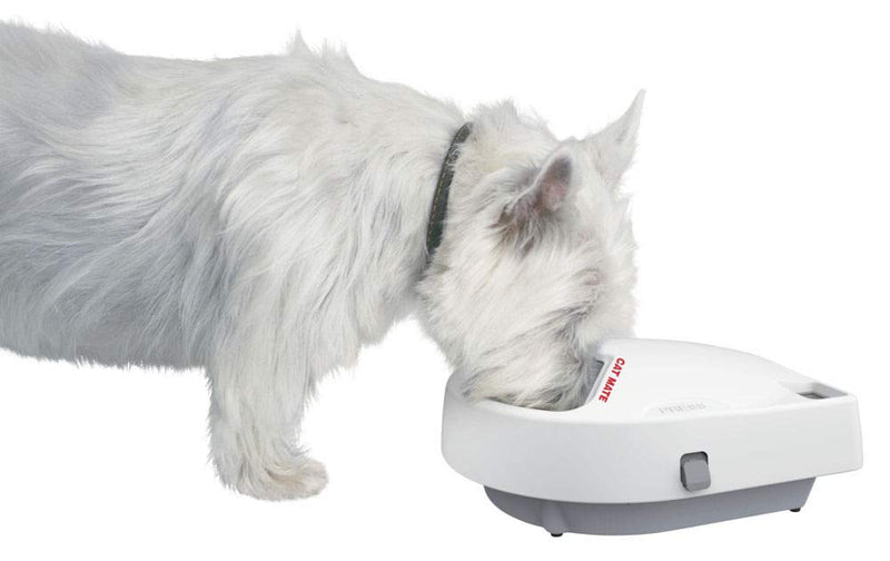 Cat Mate C300 Automatic 3 Meal Pet Feeder with Digital Timer for Cats and Small Dogs - PawsPlanet Australia