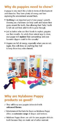 [Australia] - Nylabone Power Chew Variety Triple Pack Small/Regular - Up to 25 lbs. Chocolate Flavor 