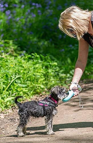 COTOP Portable Dog Water Bottle 350/550ml, Pet Water Dispenser Antibacterial Food Grade Leak Proof Dog Cat Travel Drink Bottle Bowl, Pet Outdoor Drinking Cup Dog Gift(Blue) 350ml Blue - PawsPlanet Australia