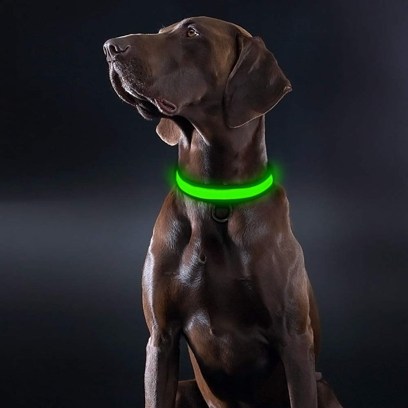 EXPERSOL HOTDOG USB Rechargeable LED Dog Safety Collar - Great Visibility & Improved Safety - 7 Colours, 5 Sizes (MEDIUM (34 cm - 50 cm / 13.4" - 19.7"), Green) MEDIUM ( 34 cm - 50 cm / 13.4" - 19.7" ) - PawsPlanet Australia