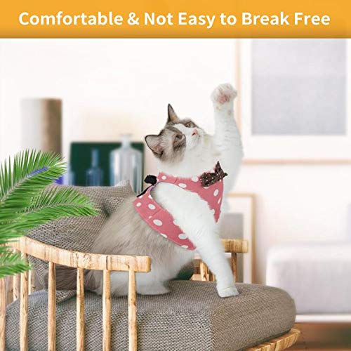 KATELUO Escape Proof Cat Harness, Cat Harness and Leash Set, Cat Vest Harness, Adjustable Soft Breathable Mesh, Perfect for Small Medium Cats (M, Pink) M - PawsPlanet Australia