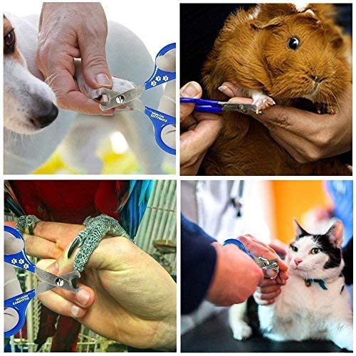 Cat Nail Clippers - Designed by Vets - Pet Nail Cutter For Rabbits, Guinea Pigs and Ferrets Single - PawsPlanet Australia