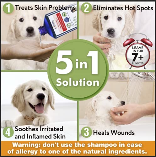 Arava Natural Medicated Dog Shampoo – Anti Yeast Anti Itch Dog Shampoo - Healthy Skin & Coat - First Aid in Hot Spots Ringworm Scrapes Abrasions Medicated Shampoo - PawsPlanet Australia