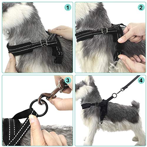 Eyein No Pull Small Dog Harness & Lead, Heavy Duty Easy for Walk Vest Harness Soft Padded Reflective Adjustable Puppy Harness Anti-Twist Pet Lead Quick Fit for Small Dog Cat Animal (S, Black) S - PawsPlanet Australia