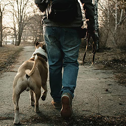 Training Lead For Dogs Double Ended Dog For Head Collar Durable Safety Training Lead Hands Free Dog Leash adjustable to 4 different lengths(8.5ft/2.5m ) - PawsPlanet Australia