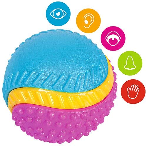 Sharples Beef Scented Five Senses rubber ball for dogs, medium - PawsPlanet Australia