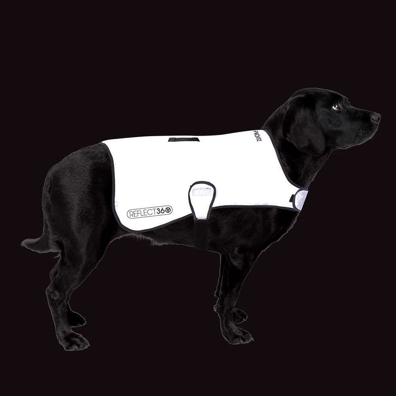 Proviz REFLECT360 Reflective Hi Viz Waterproof Dog Coat Hi Visibility XS - PawsPlanet Australia