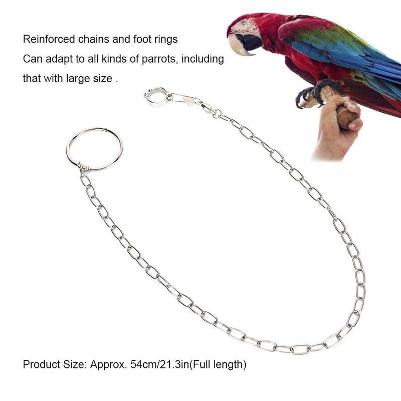 ViaGasaFamido Parrot Foot Chain, Stainless Steel Split Anti Flying Bird Foot Chain Large Parrot Anti Escape Training Anklet Ring for Birds Parrots - PawsPlanet Australia