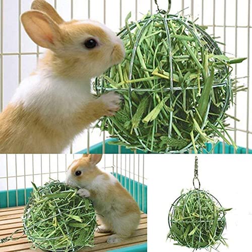 Hay Dispenser Feeding Ball Stainless Steel Hanging Ball Small Animal Feeder Rabbit Chinchilla Guinea Pig Small Animal (1PC) 1PC - PawsPlanet Australia