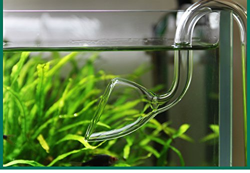 [Australia] - JARDLI Glass Lily Pipe Outflow for Aquarium Planted Tank 20mm for 19/25mm (3/4" ID) tubing 