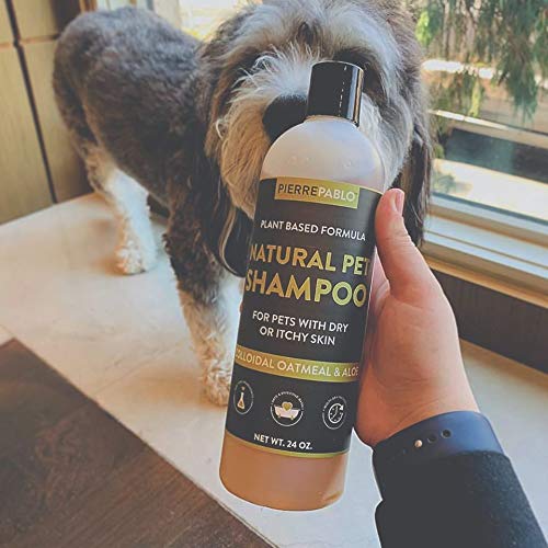 [Australia] - PierrePablo Natural Oatmeal Dog Shampoo with Enhanced Odor Control, 24 Ounces 