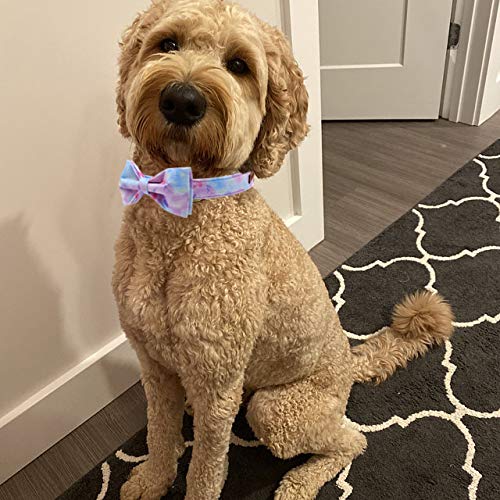 [Australia] - Elegant little tail Dog Collar with Bow, Soft&Comfy Bowtie Dog Collar, Adjustable Pet Gift Collars for Small Medium Large Dogs XS Colorful 