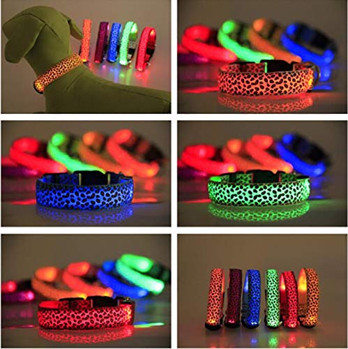 Led Dog Collars with Light, Buckle Adjustable Safety Nylon Collars USB Rechargeable Three Lighting Modes, Fast Flash, Slow Flash, and Continuous Light for Small Medium Large Dogs Pink-1 S (12.6-15.7"/ 32-40cm) - PawsPlanet Australia