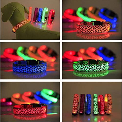LED Flashing Dog Collar, 3 Lighting Modes USB Rechargeable Adjustable Dog Collar, Soft Polyester & Mesh Glowing Dog Collar for Night Safety and Visible Blue-1 L (18.9-22"/48-56cm) - PawsPlanet Australia