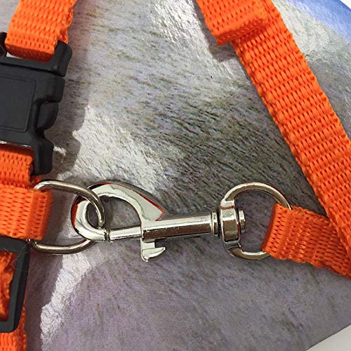 Gizhome 2 Pack Cat Harness and Leash Adjustable Halter Harness Nylon Strap Belt Safety Rope Leads for Kitten, Orange & Light Blue - PawsPlanet Australia