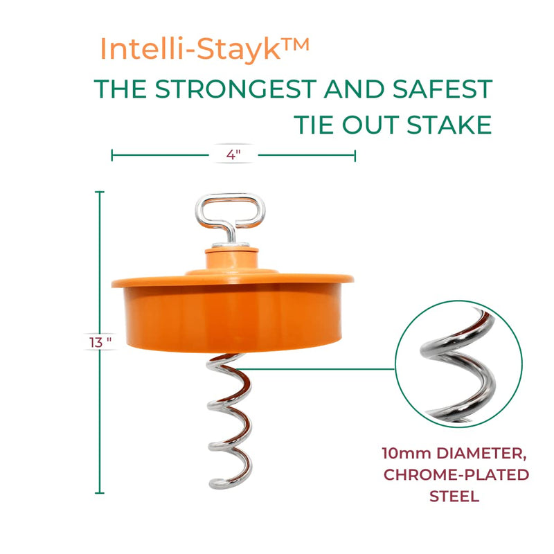 Intellileash Products Intelli-Stayk Dog Tie-Out Stake with Special Surface Lock Technology. Prevents Pulling Out and Bending. (Intelli-Stayk with Soft Soil Surface-Lock) Intelli-Stayk with Soft Soil Surface-Lock - PawsPlanet Australia