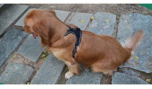 Kismaple Adjustable 3M Refletive Dog Harness, Soft Padded No Pull Outdoor Training/Walking Pet Vest with Handle, Puppy Chest Vest Harness for Small Dogs (XS (33-43cm), Black) XS (33-43cm) - PawsPlanet Australia
