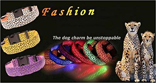 Light Up Dog Collars, Lighted Led Dog Glow Collar for Small Large Dogs Night Walking, Rechargeable Harness Warterproof Adjustable Dog Leash Orange-1 L (18.9-22"/48-56cm) - PawsPlanet Australia