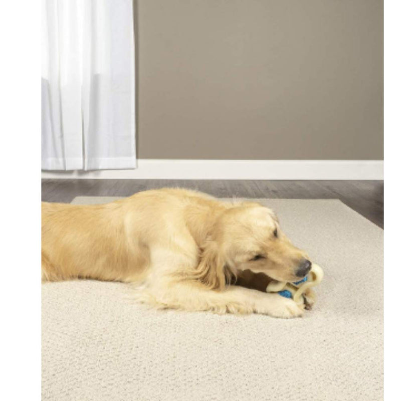 PetSafe Busy Buddy Forever Bone Dog Chew Toy, Treat Holding Dog Toy for Strong Chewers, Hard Wearing, for medium Dogs, Medium - PawsPlanet Australia