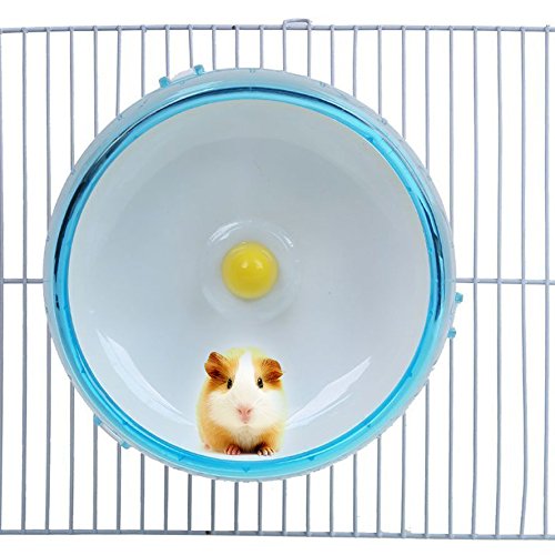 Itian® Silent Hamster Running Spinner Wheel Pet Running Toy For Small Animals Hamster Exercise Toy (Blue) - PawsPlanet Australia