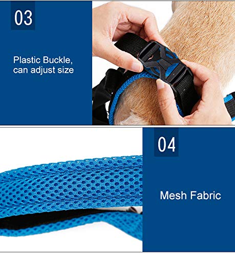 BePetMia Dog Lift Support Harness - Dog Support Harness for Back Legs, Help Lift the Back Legs, Dog Rear Harness Support for Elderly, injured, Sick and Disabled Dogs (M: 13.8-17.7 inch) M: 13.8-17.7 inch - PawsPlanet Australia