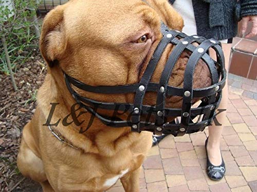 L&J Pets Uk Light leather Dog Muzzle for Dogue de Bordeaux and Bullmastiff and Other (DB1, Beige) DB1 - PawsPlanet Australia