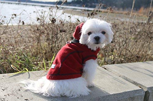 [Australia] - Louie de Coton Honeycomb Polar Fleece Thermal Small Dog Jacket with Hoody Made in USA by Red 