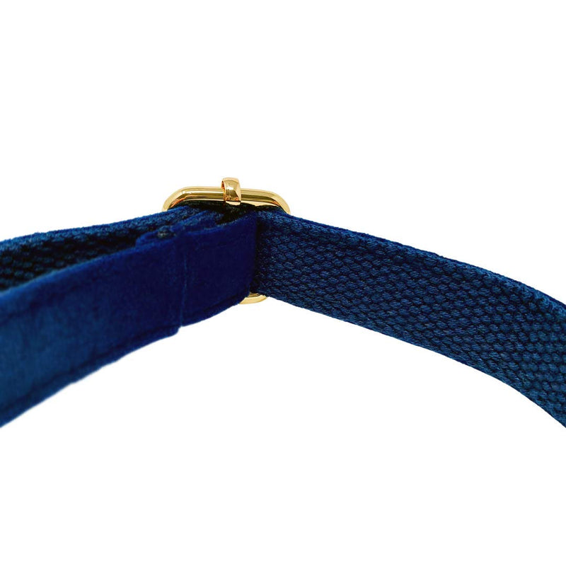 Animal Outfitters UK Velvet Collection Vegan | Blue and Gold Dog | Puppy Collar | Adjustable for Small or Large Dogs (Medium) Medium - PawsPlanet Australia