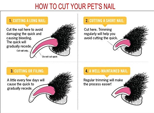 JZK Pet Grooming Kit - Pet Nail Clippers Pet nail file Pet Slicker Brush Metal Pet Comb (Pack of 4) - PawsPlanet Australia
