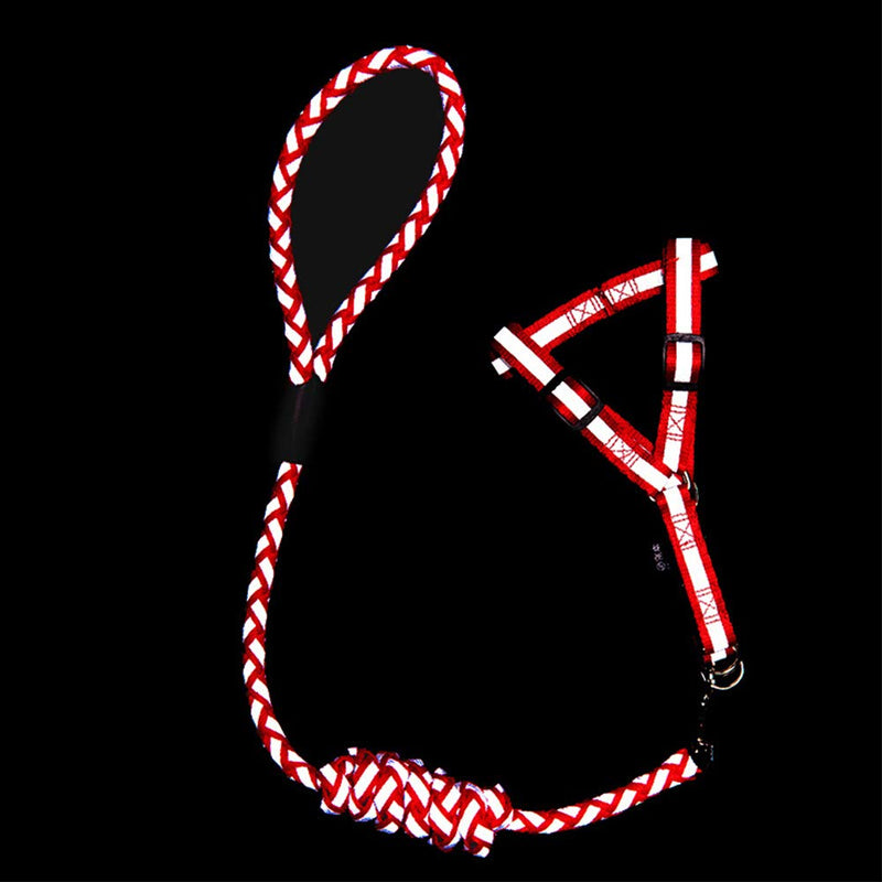 [Australia] - Nourse CHOWSING Pet Reflective Dog Leash for Small Dog Easy Walk Dog Harness Chest Strap Harness Slip Collar Slip Leash 3-Piece Set Red Reflective S 