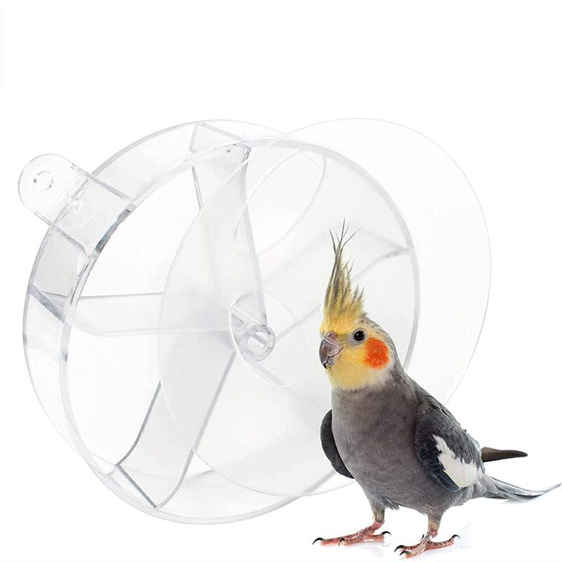 NA Parrot Foraging Wheel Bird Feeder Spins Toy Parrot Chew Toy Used for Parakeet Cockatiel Conure African Grey (Transparent) - PawsPlanet Australia