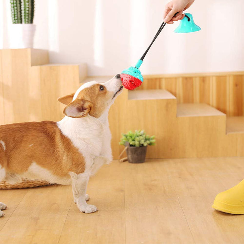 Rope ball cleaning teeth Suction Cup Dog Toy, Pet Molar Bite Toy, Dog Chew Toys, Interactive Pet Treat Ball for Chewers and Toothbrush, Dog Multifunction Interactive Ropes Toys - PawsPlanet Australia