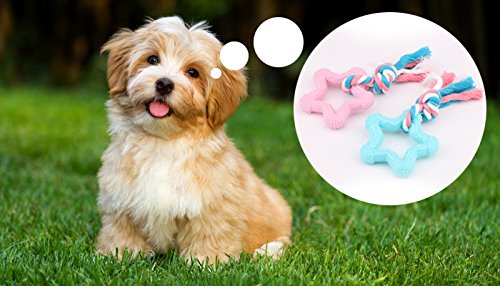 [Australia] - Comtim Puppy Chew Toys, Dog Durable Teething Toys with Rope for Puppies and Small Dogs Blue Star 